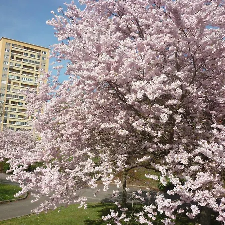 L'oree Du Parc A Apartment Belfort