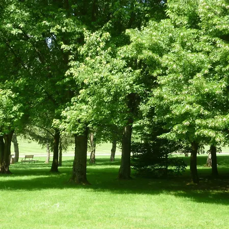 L'oree Du Parc A Apartment